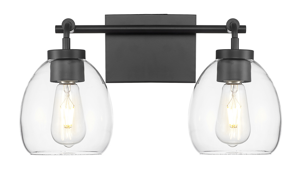 Dawes 16 in. Matte Black 2-Light Vanity With Clear Glass Globes