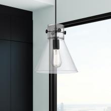 APP-410-1PM-BK-G411-10CL_2.jpg
